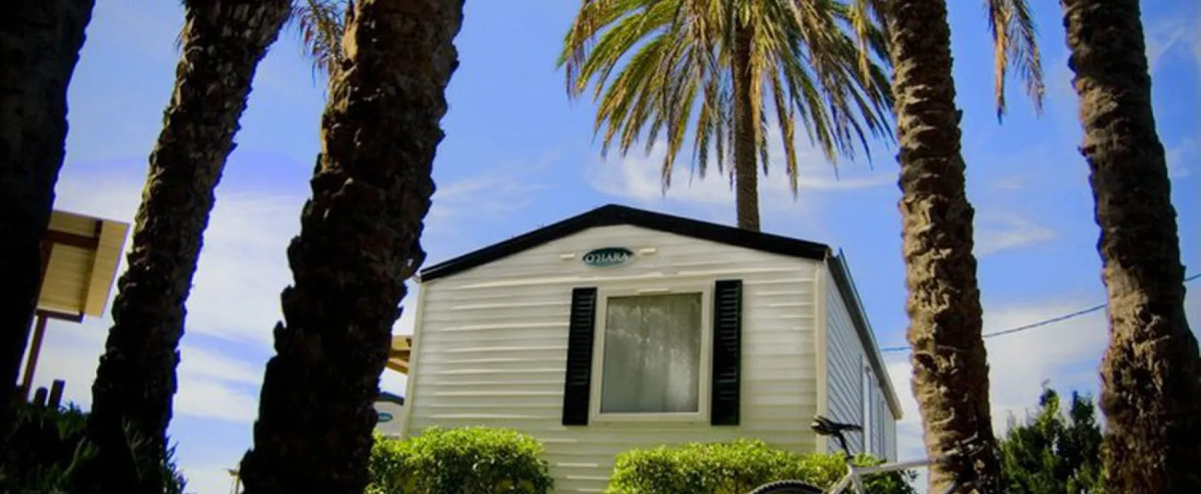 Camping las Palmeras