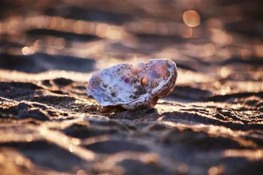 Happy Camping Village