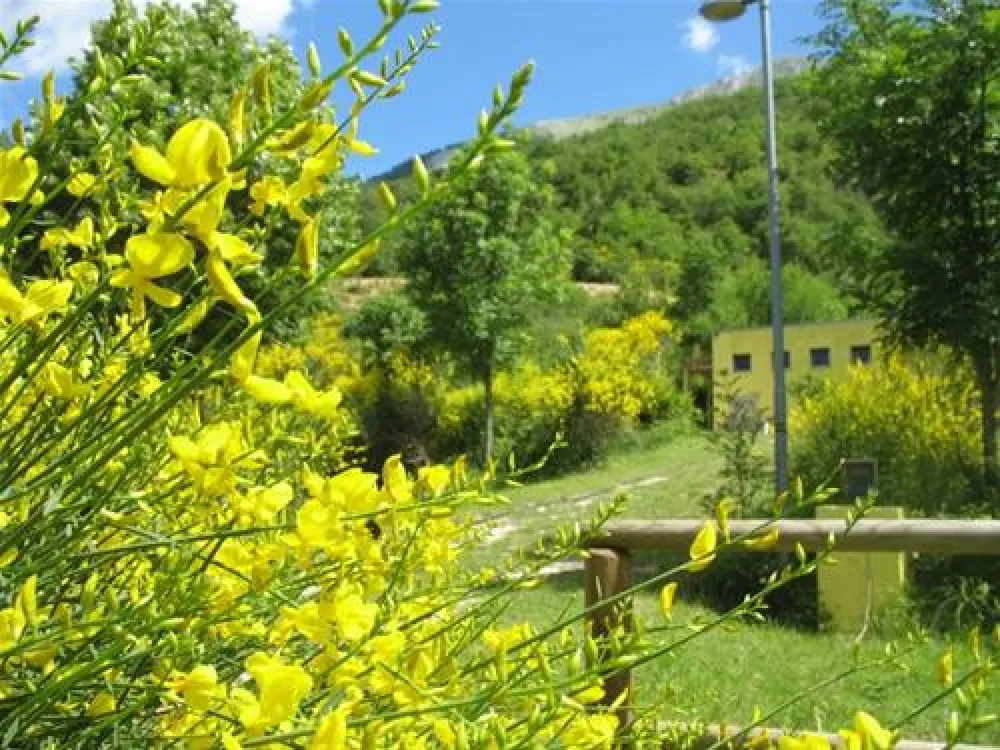 CAMPING LE GINESTRE DEL CATRIA