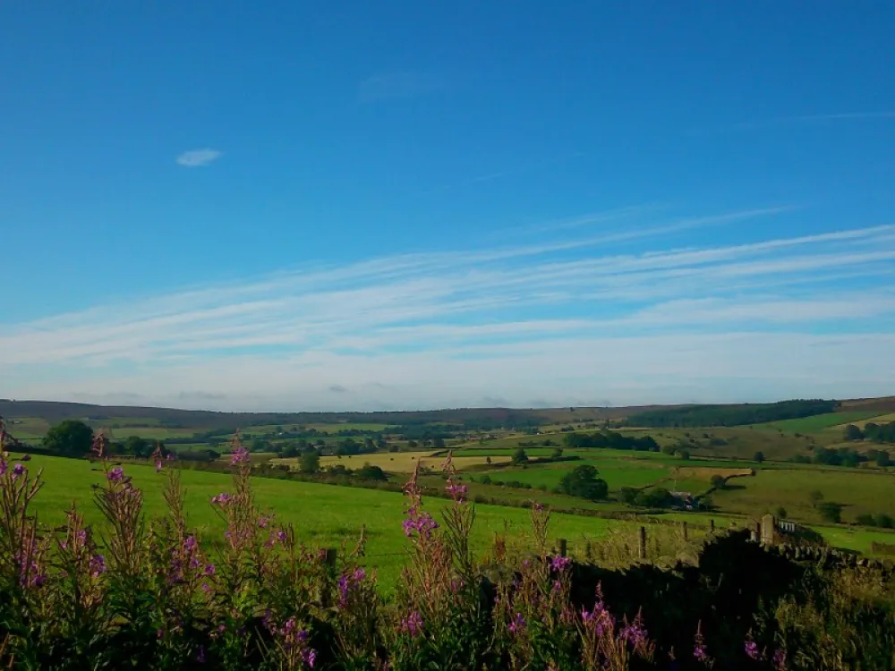 Longnor Wood Caravan Park
