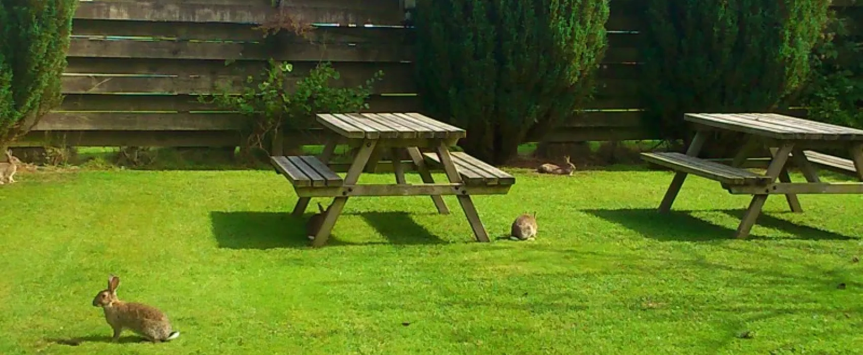 Longnor Wood Caravan Park