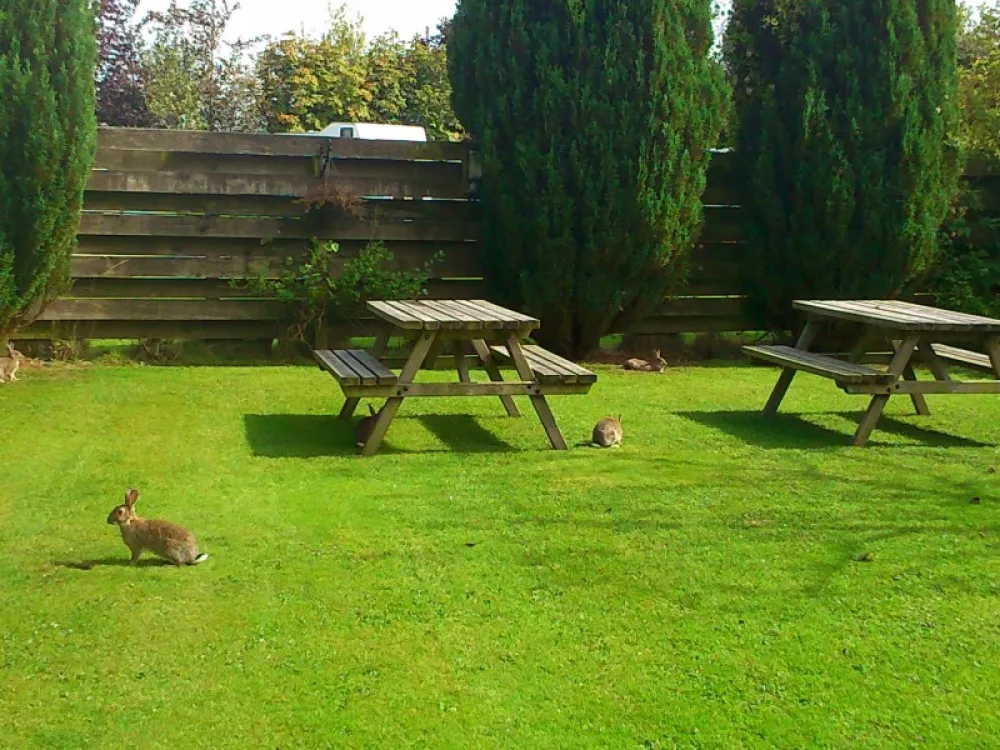 Longnor Wood Caravan Park