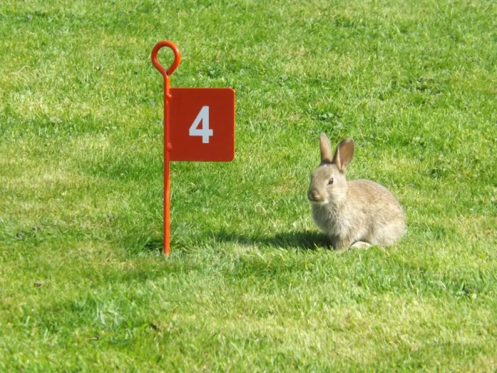 Longnor Wood Caravan Park