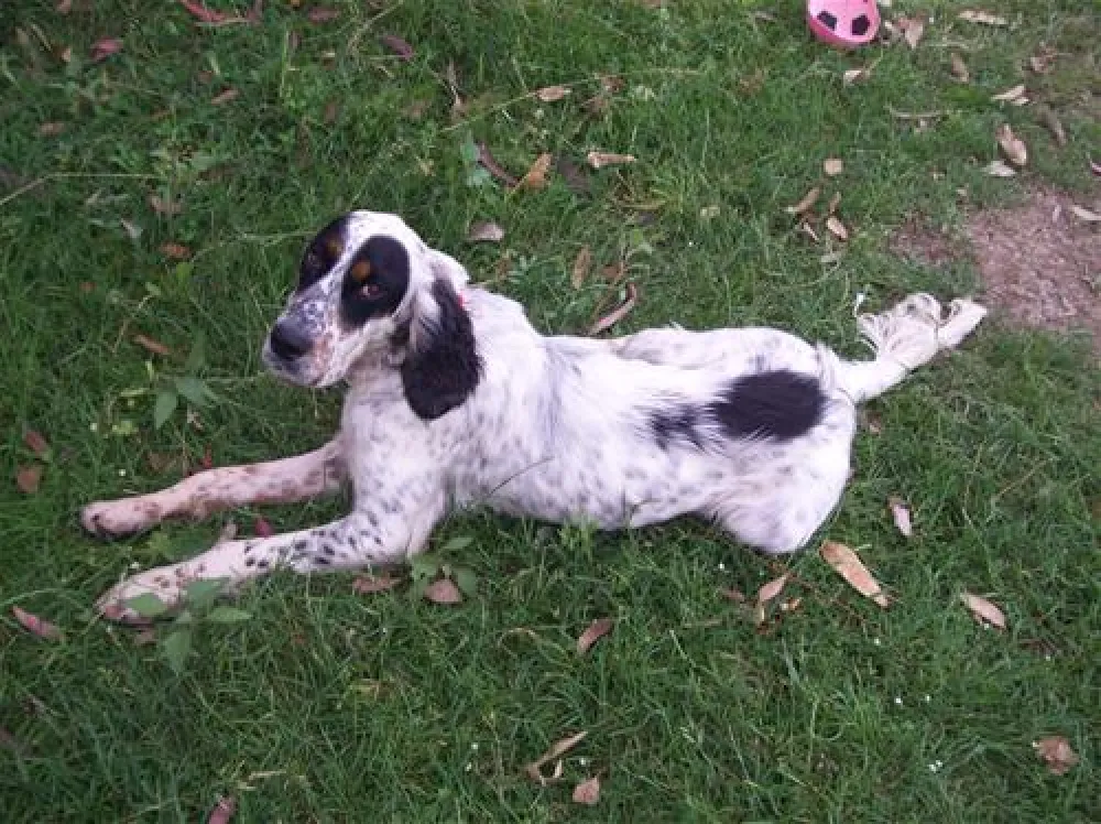 Marti Camping-Caravaning