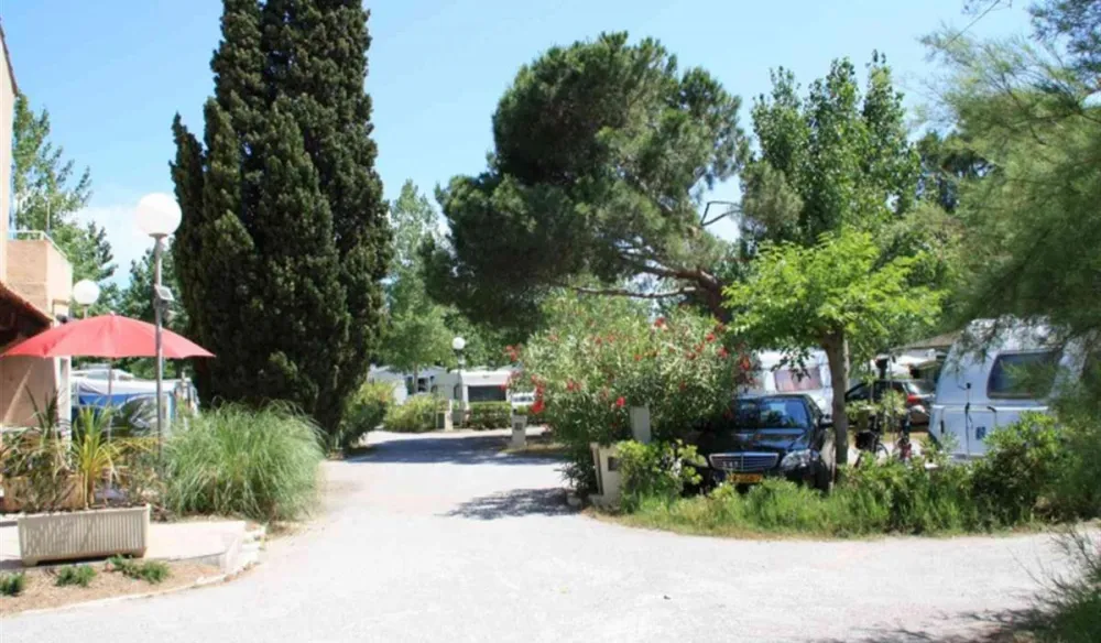 Camping La Pepiniere