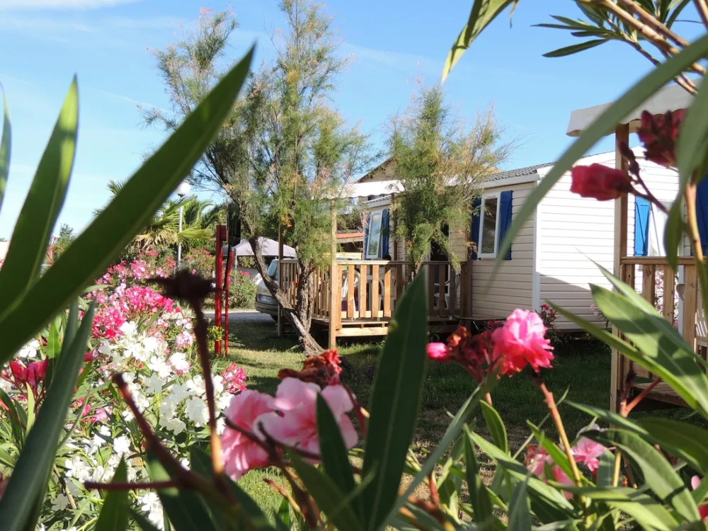 Camping La Pepiniere