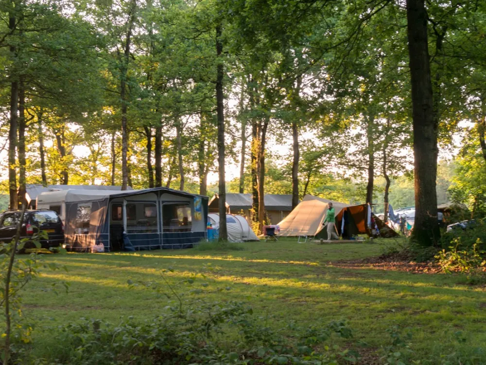 Camping Starnbosch