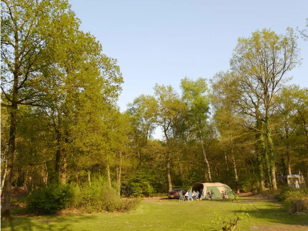 Camping Starnbosch