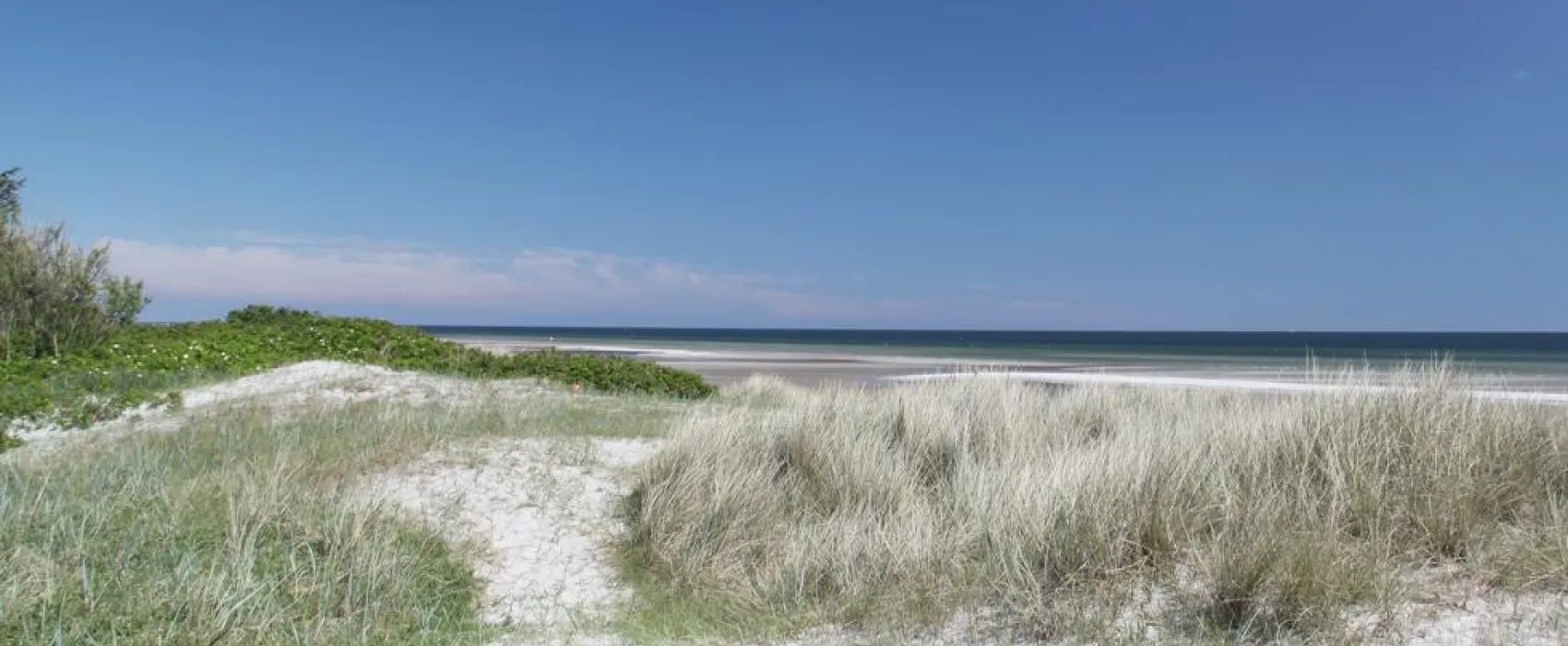 Hals Strand Camping