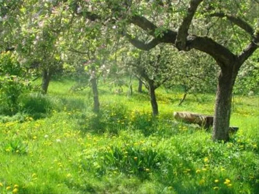 Camping Pensiunea Cristal