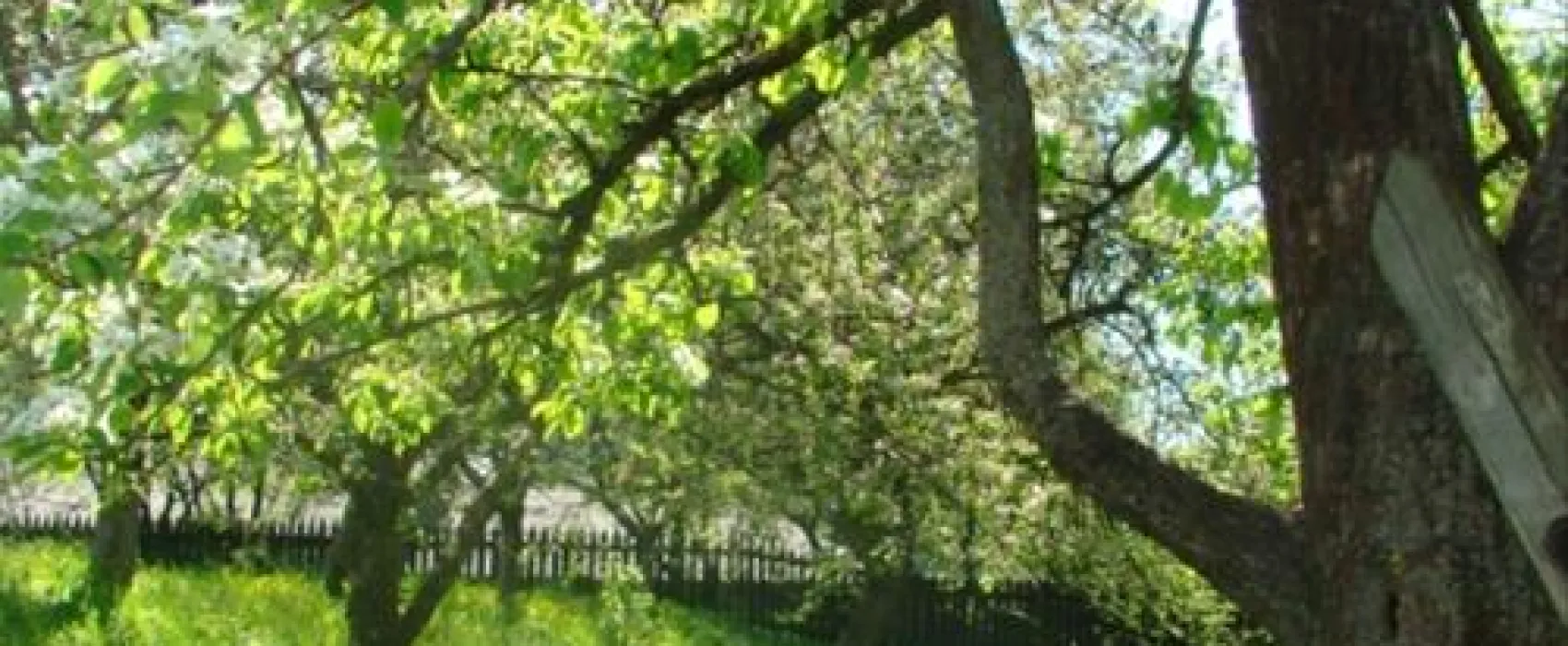 Camping Pensiunea Cristal