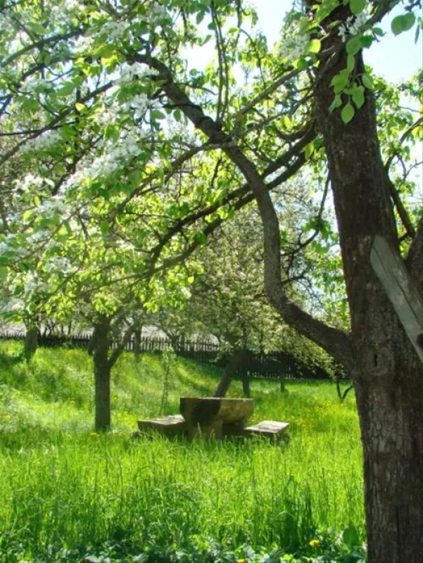 Camping Pensiunea Cristal