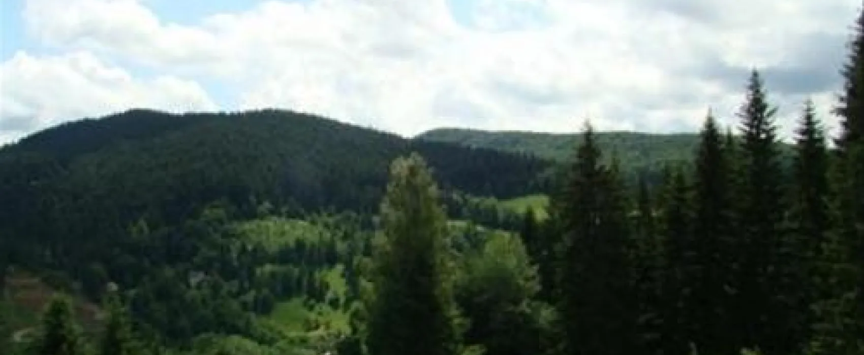 Camping Pensiunea Cristal