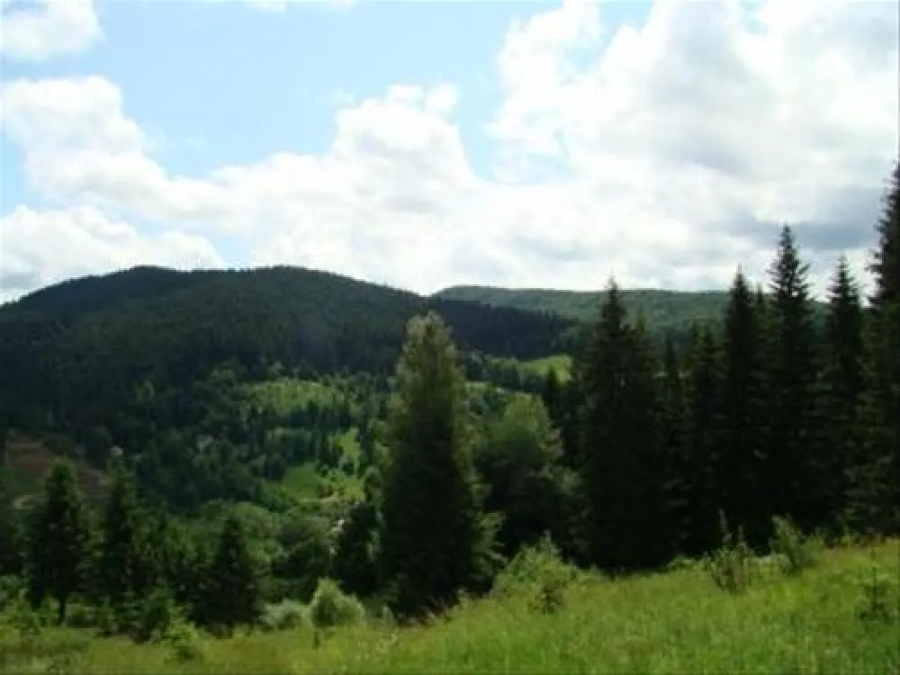 Camping Pensiunea Cristal