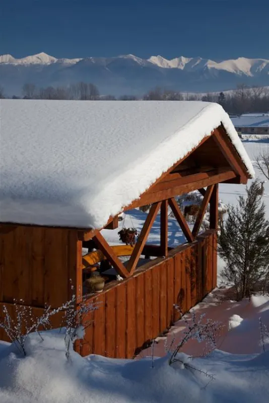 Villa Betula Camping***