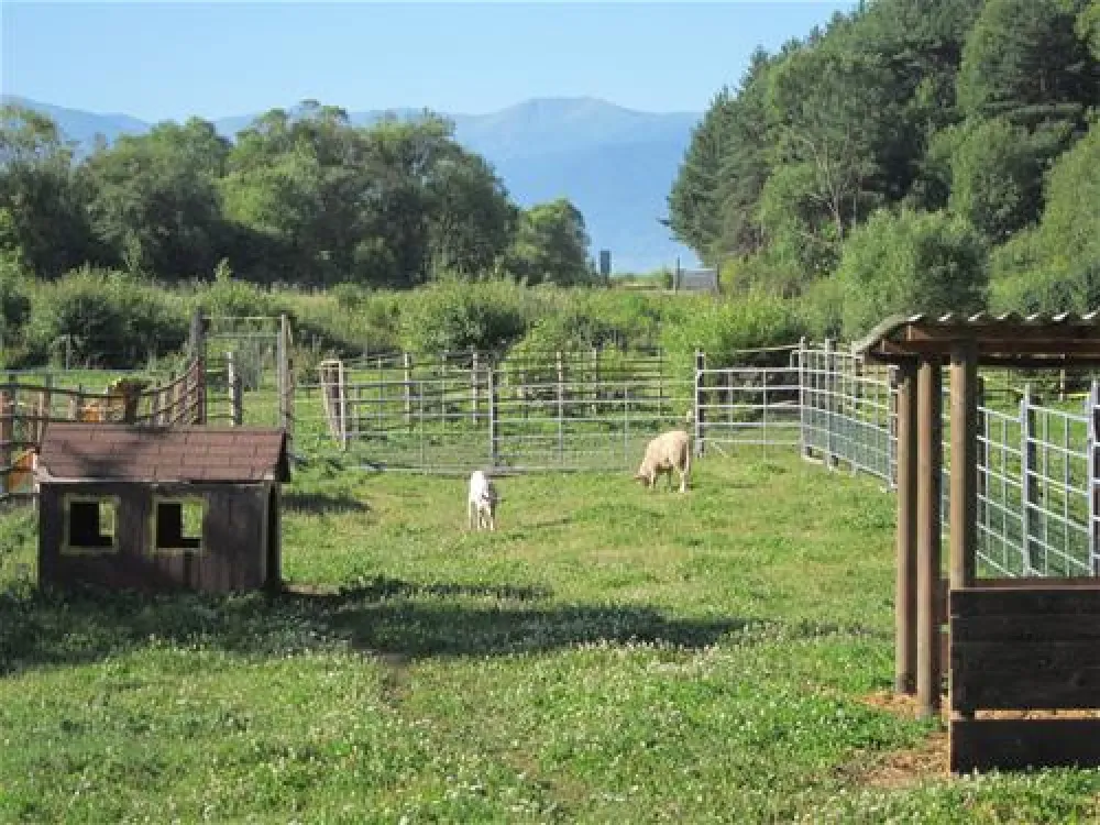 Villa Betula Camping***