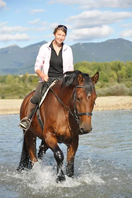 Villa Betula Camping***