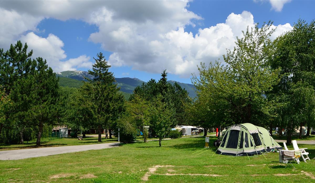 Auto-Camp Borje photo 3