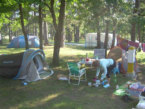 Auto-Camp Borje photo 2