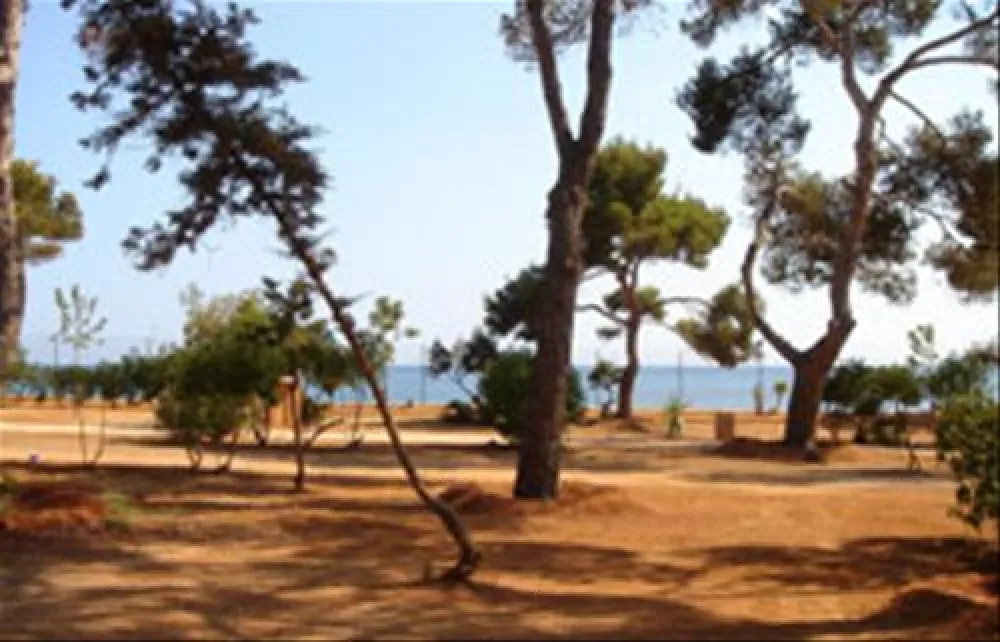 Camping La Playa Ibiza