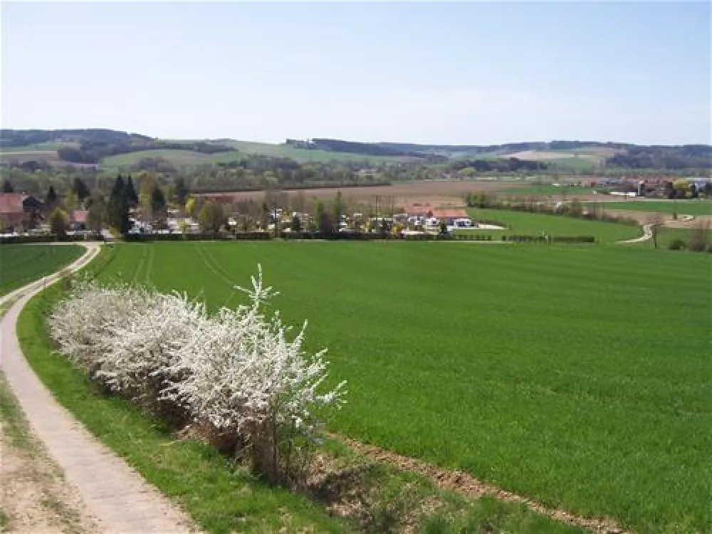 Kur-Gutshof-Camping Arterhof