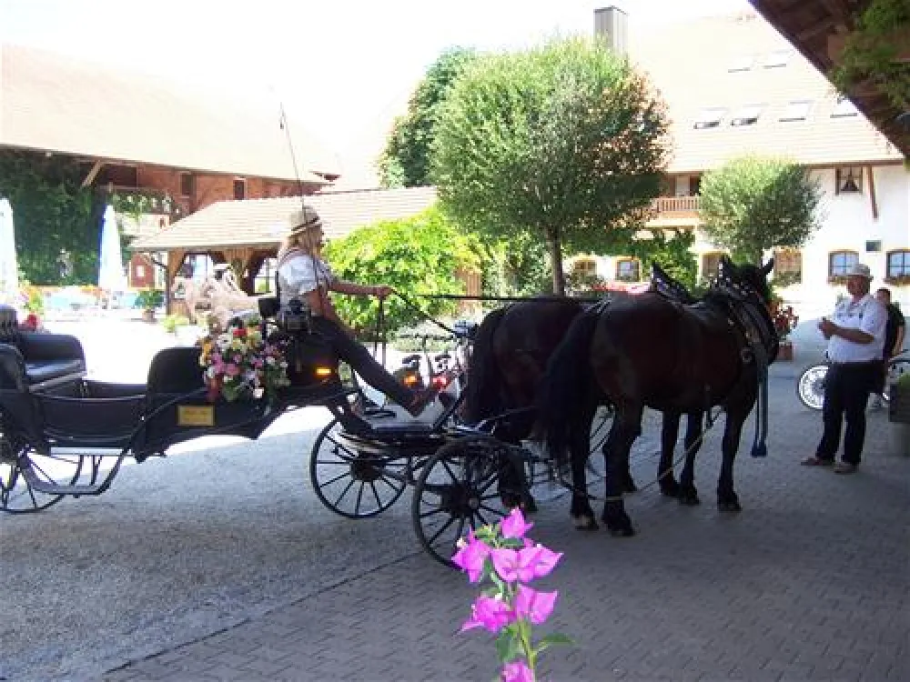 Kur-Gutshof-Camping Arterhof