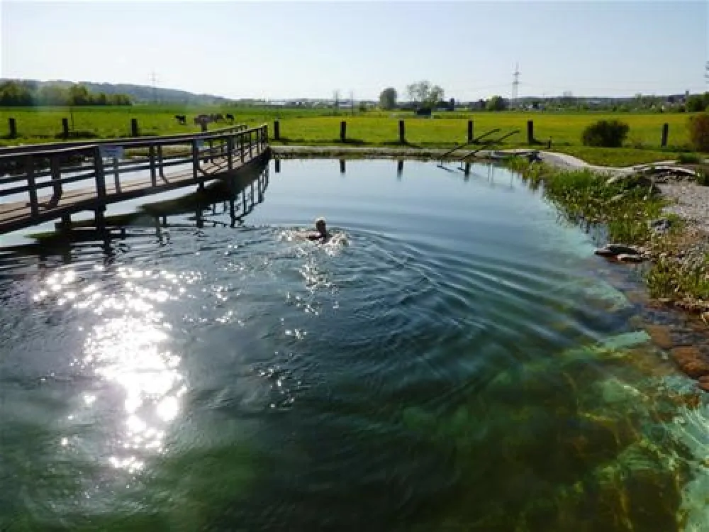 Kur-Gutshof-Camping Arterhof