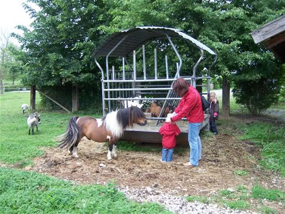 Kur-Gutshof-Camping Arterhof