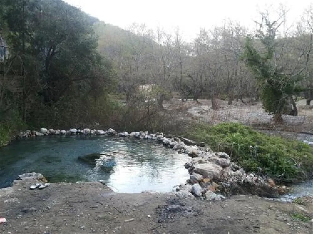 Green house Afrodita