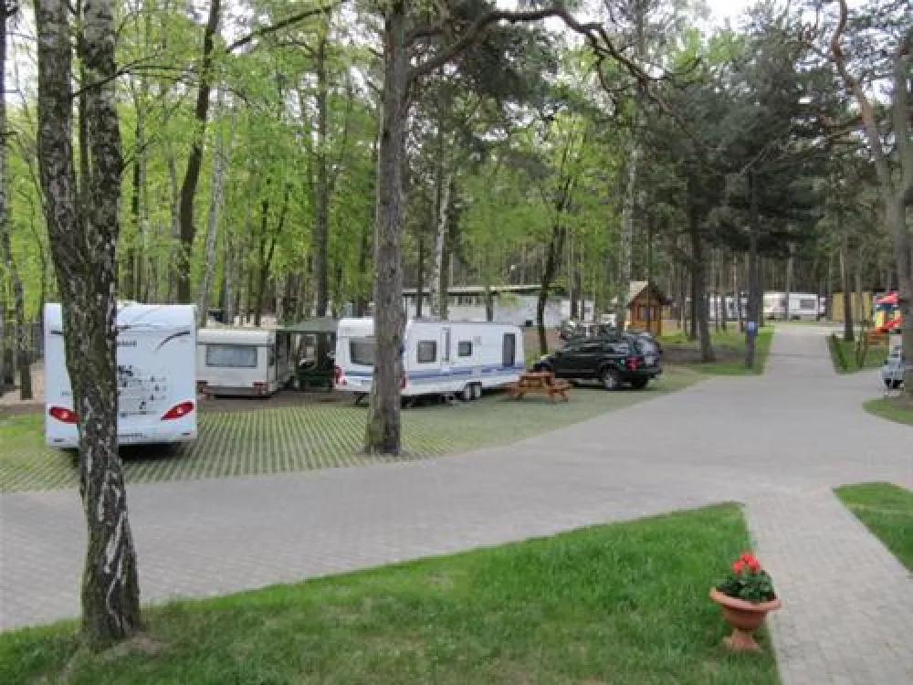 Camping "Stogi" nr 218 w Gdansk