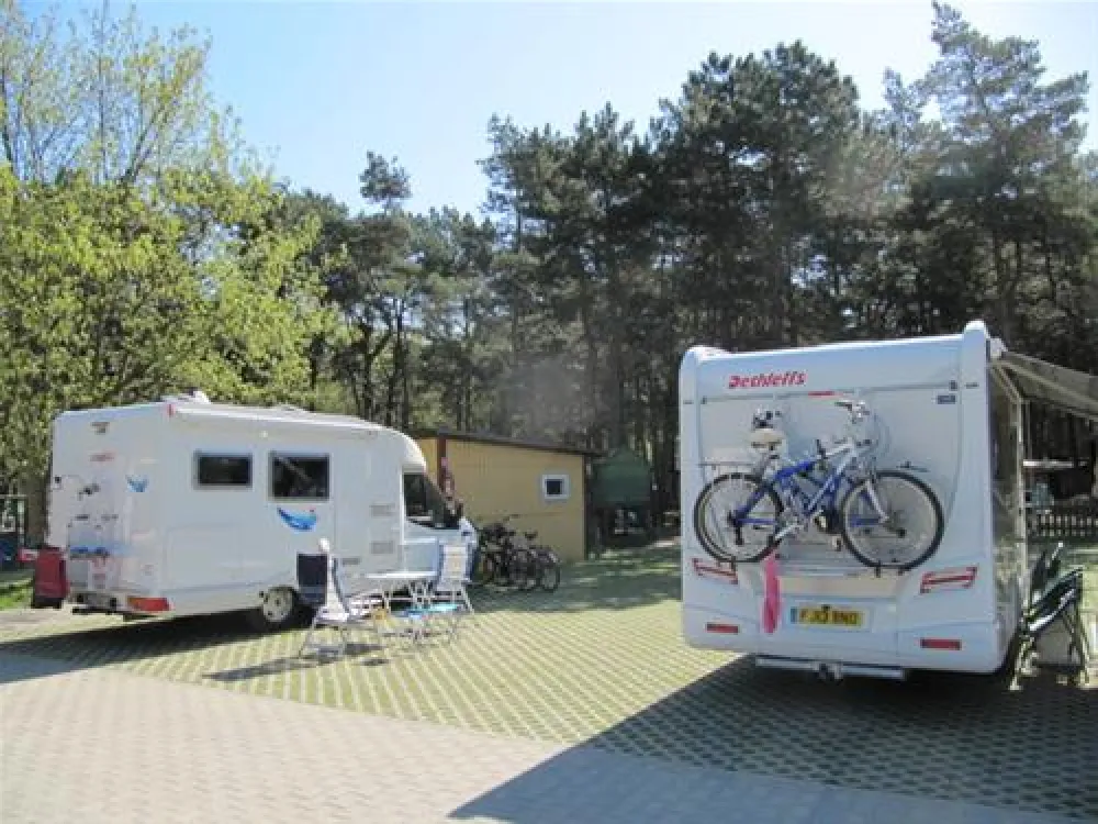 Camping "Stogi" nr 218 w Gdansk