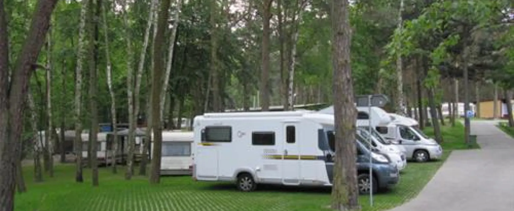 Camping "Stogi" nr 218 w Gdansk