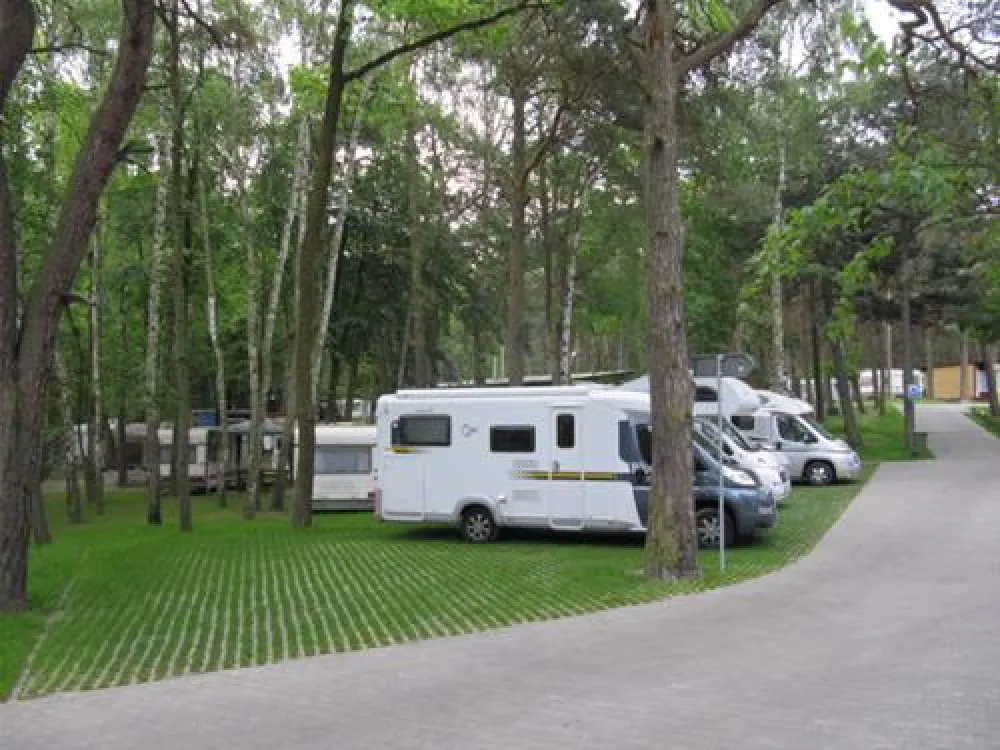 Camping "Stogi" nr 218 w Gdansk