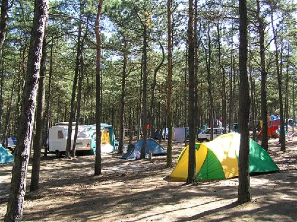 Camping "Stogi" nr 218 w Gdansk