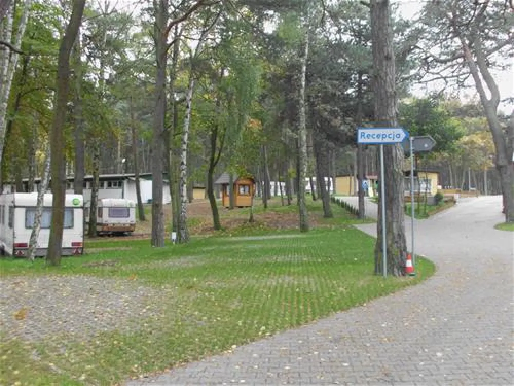 Camping "Stogi" nr 218 w Gdansk