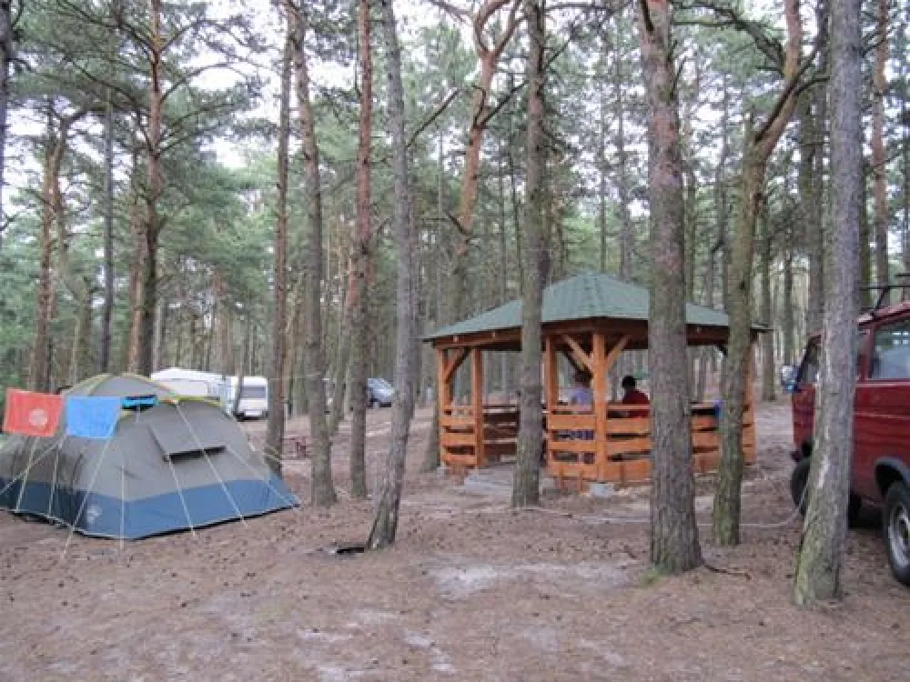 Camping "Stogi" nr 218 w Gdansk