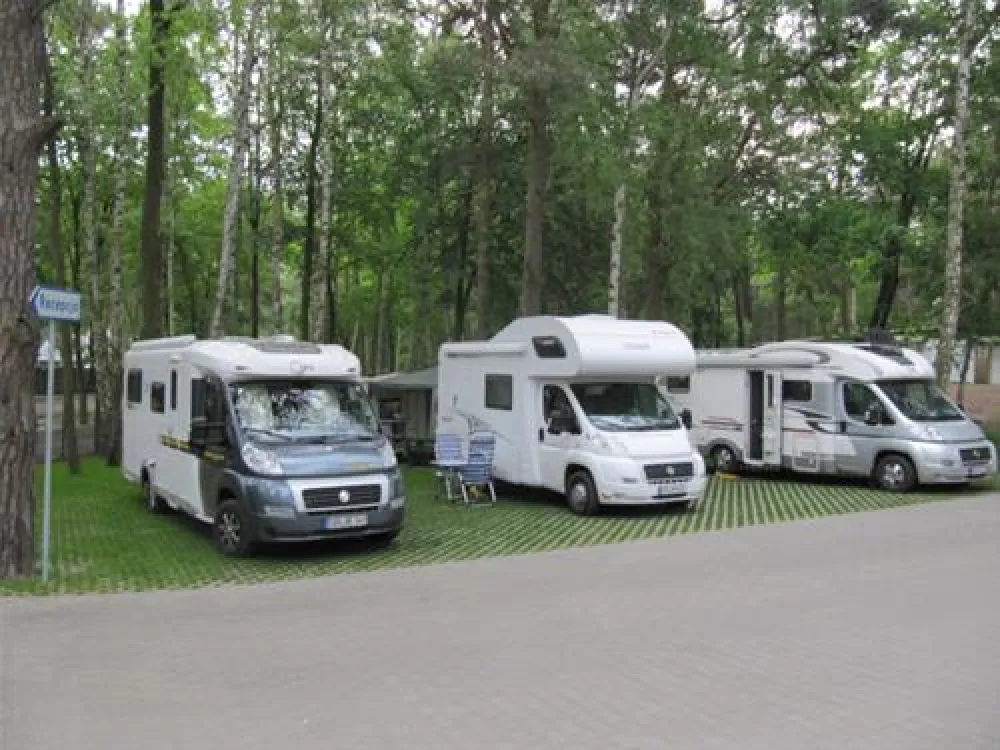 Camping "Stogi" nr 218 w Gdansk