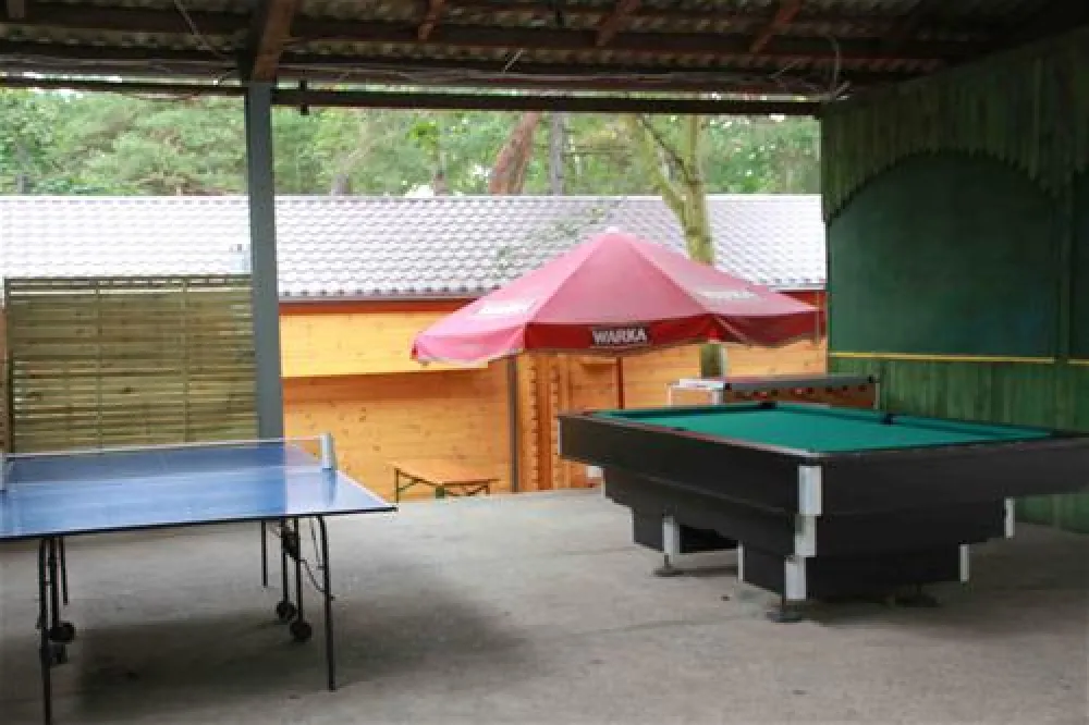 Camping "Stogi" nr 218 w Gdansk