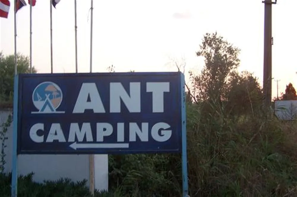 Camping Ant