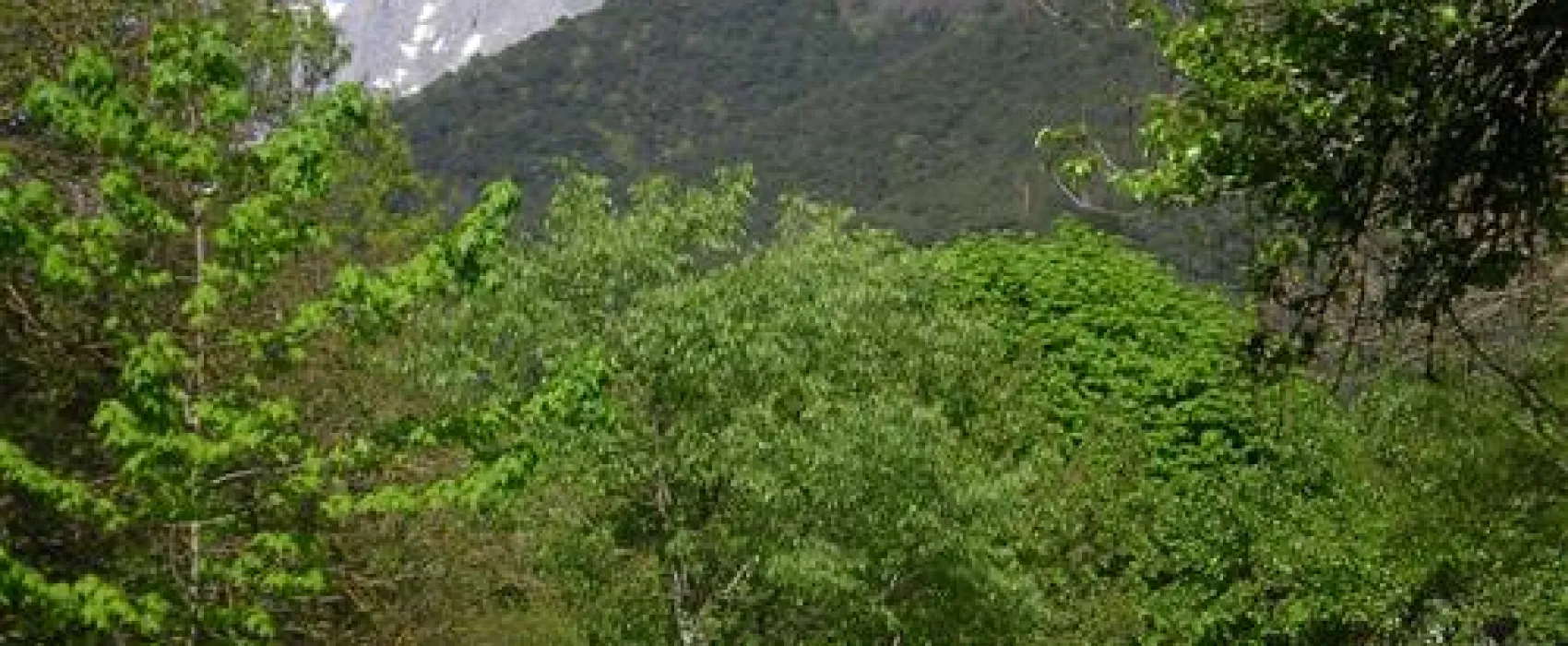 Camping La Isla-picos de Europa