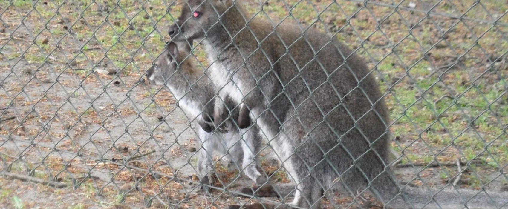 Campingpark Meyer zu Bentrup