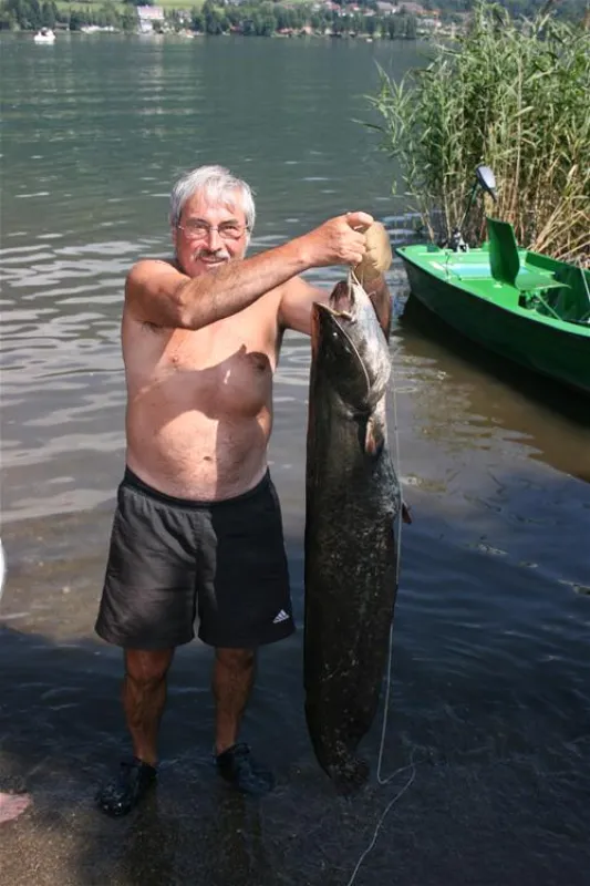 Ideal Camping Lampele