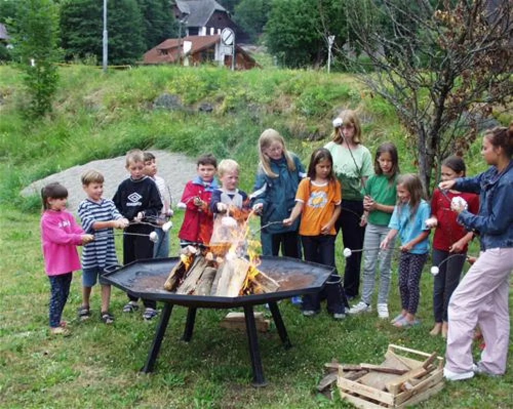 Ideal Camping Lampele