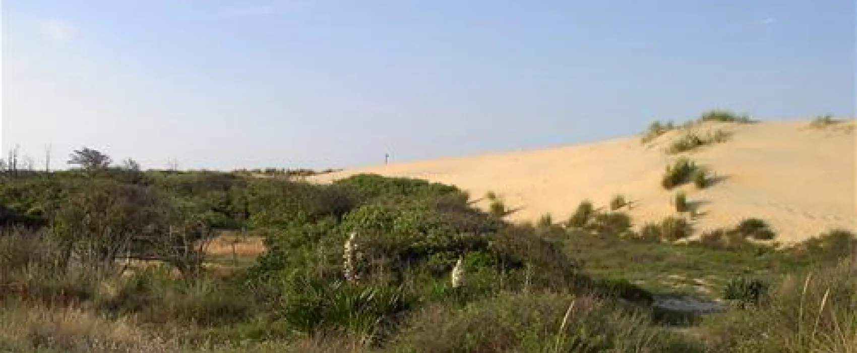 Yelloh ! Village Parc De La Cote Sauvage  