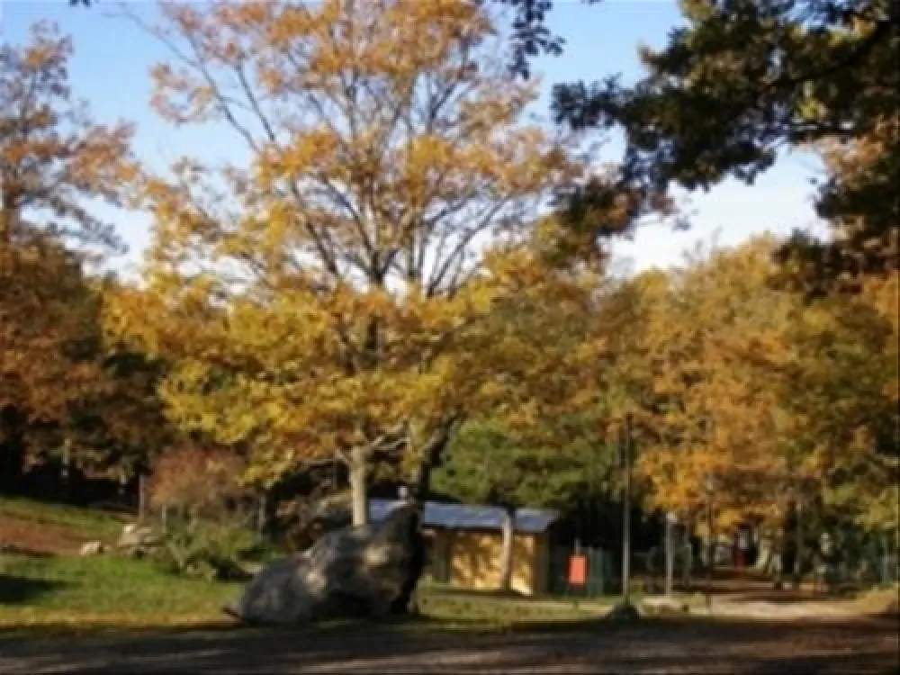 Camping Orlando in Chianti