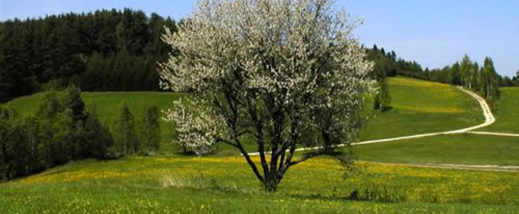 Waldviertel Camping | Familie Einfalt