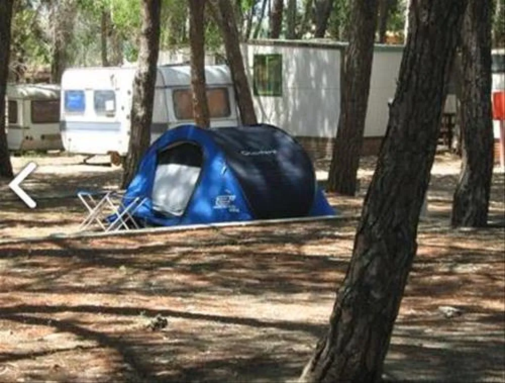 Campeggio Cammello Grigio