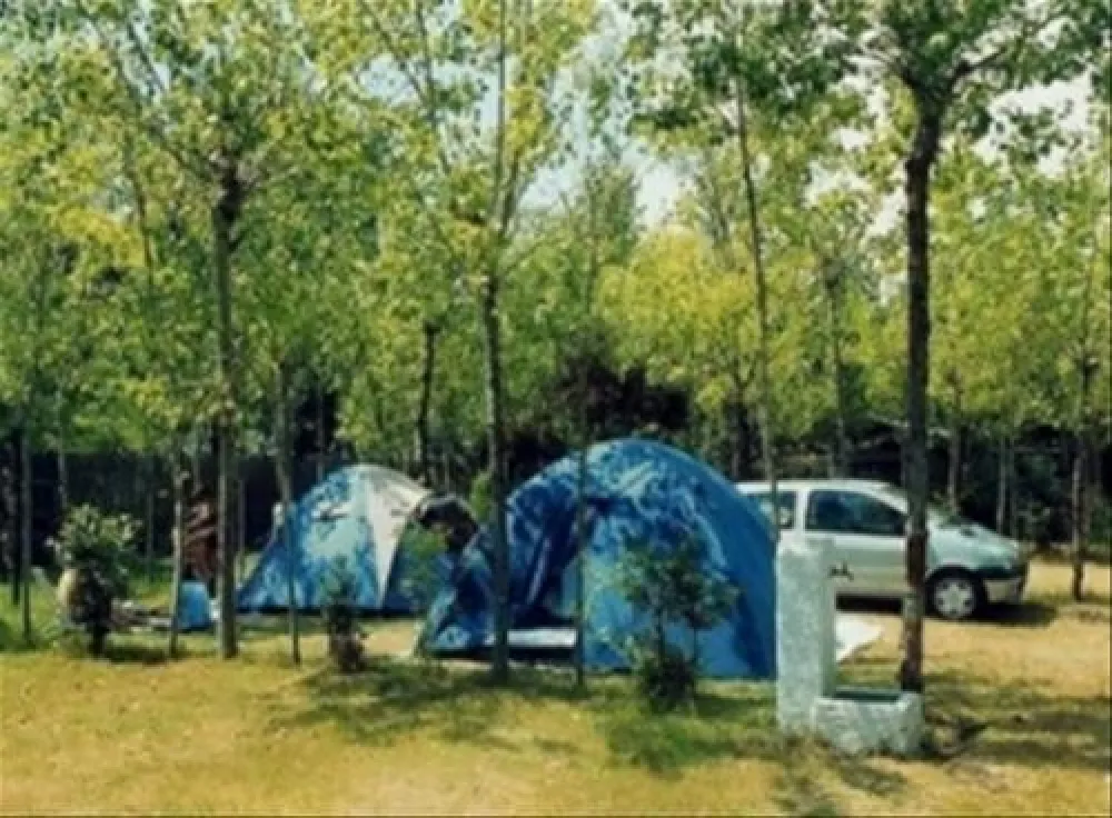 Camping dei Tigli