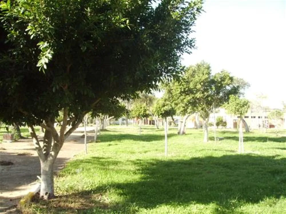 Camping Faro De Trafalgar