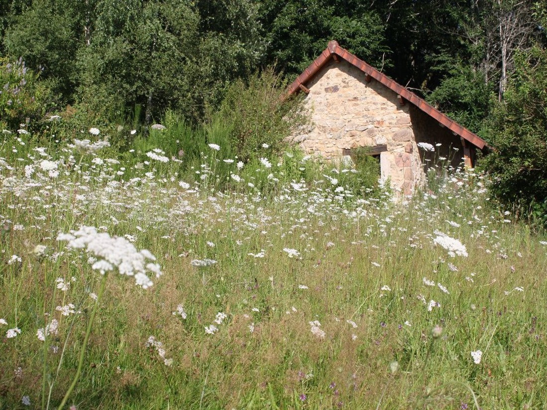 Camping Les Saules photo 4